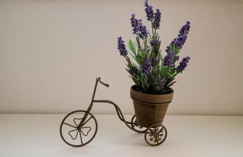 Apartment Punta - Foto 49