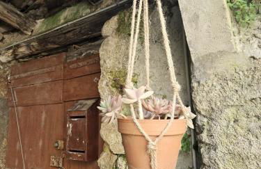 Perched Nest in Cevennes Mountains, relaxing place - Photo 28