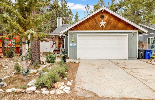 Beardise #2329 - Foto 15