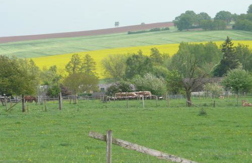 Ferienhaus Kruk - Foto 31