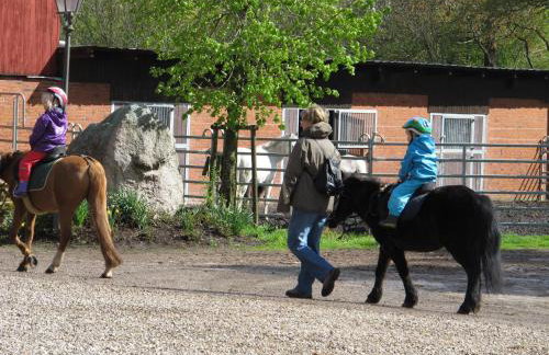 Hof Osterbunsbüll - Foto 7