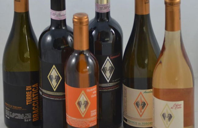 Podere dell'Anselmo - Foto 75