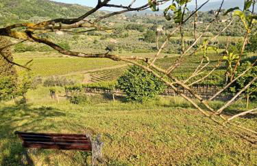 Casa della Poggiole - Foto 15