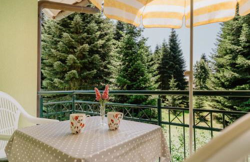 Haus Birgit - Foto 23