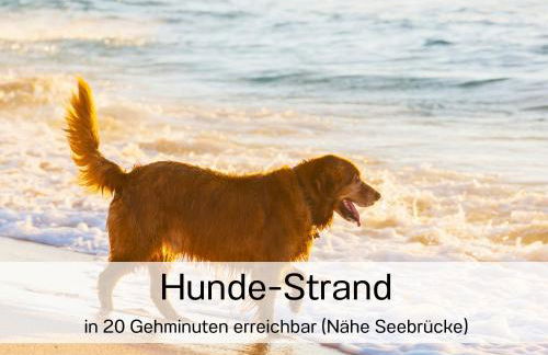 Ostsee-Traumferienwohnungen Villa Meeresbrise - Foto 41