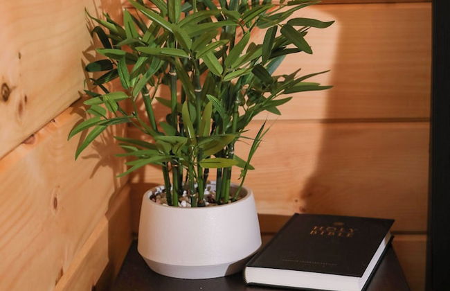 The Bellefonte Campground - Foto 76