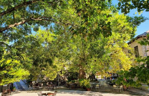 Παραδοσιακό Σπίτι στο Μονοδένδρι - Foto 41