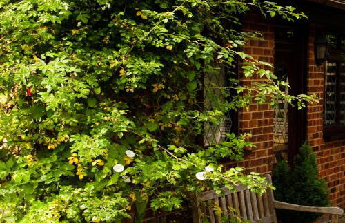 Tovey Lodge - Foto 48