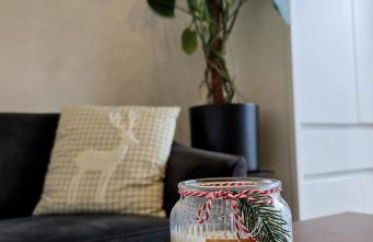 Apartament Nadwiślański - Foto 6