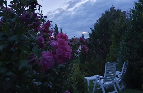 Villa Maja - Foto 18