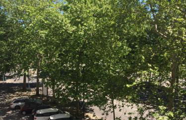 Nais Home Torino - Photo 29