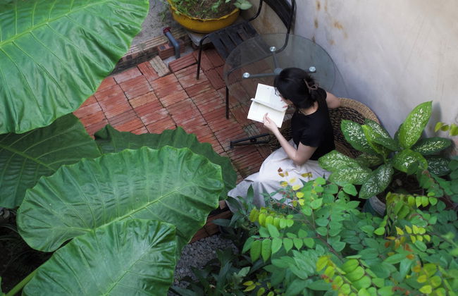 oc homestay CAT BA - Foto 28