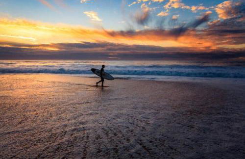 Appartement au bord de la plage et de la foret - Foto 17