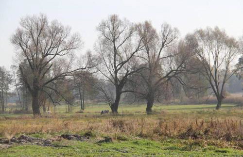 Nowa Wola 58 - 200qm appartment in a small village, with pool, sauna and big garden - Foto 32