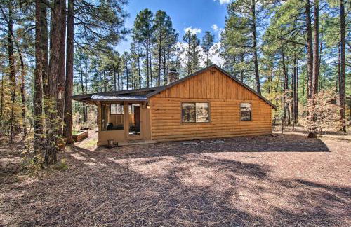 Deck and Grill Pet-Friendly Lakeside Cabin - Foto 3