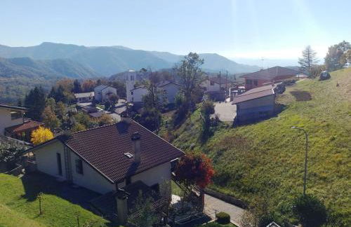 Ciclaminis - Photo 6