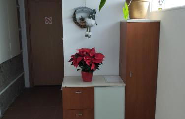 Casa Xoubiña - Foto 24