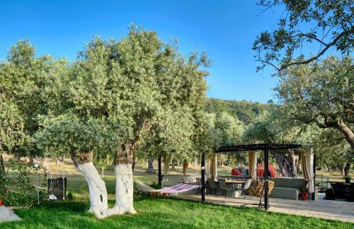 STUDIOS PIGASOS - Foto 15