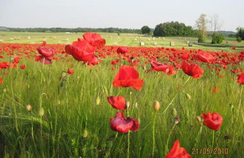 Agriturismo Campagnoletto - Foto 41