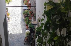 Apartamento con encanto en la playa frente al mar "Posada Rent House" - Foto 14