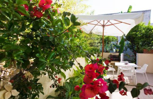 Appartamenti Le Pleiadi - Succhivo d'Ischia - Foto 18