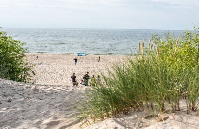 Forest Relaks w Otoczeniu Natury Taras i Widok na las - Photo 26