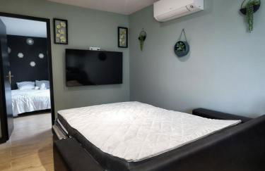 First flight Colomiers - à 8 mn de l'aéroport- Proche Airbus - 6 voyageurs - Foto 26