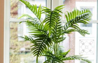 4 Zimmer hochwertig saniertes Cityapartment ruhig gelegen - Foto 20