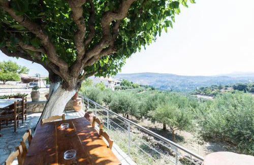 Erato House - Foto 16