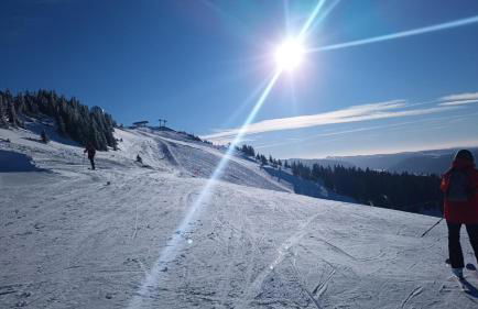 Le Repaire du Loup blanc - Foto 18