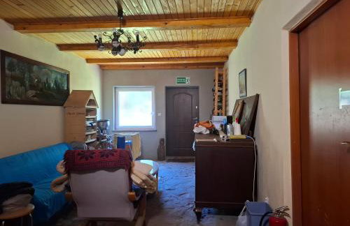 EkoTurystyka Natura Gwiazd - Green Velo - Workation Park - Ziołowy Klimat Bieszczad - Foto 45