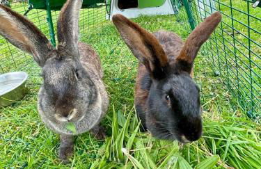 Château Côte de Nacre - Photo 22