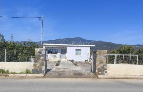 Grey house - Photo 3