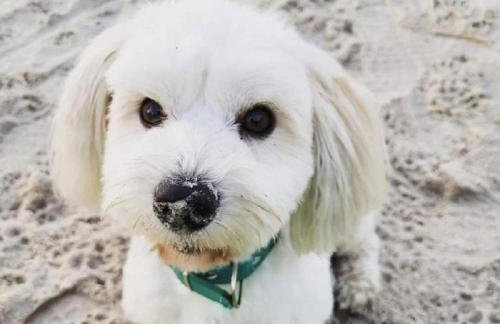 Zakątek Sasanki - Foto 32