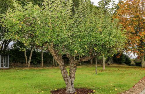 Tygalls Farm - Foto 31