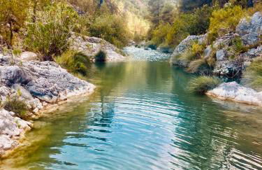 Ca tia Teresa - Foto 22