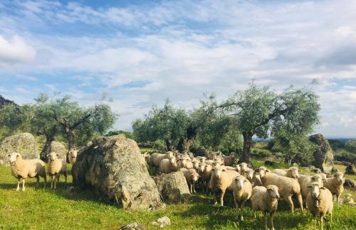 Casa Rural Finca Flores Amarillas - Foto 32