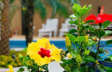 Jardim do Rio Suítes - Foto 46