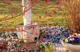 Agriturismo Il Magicorto - Photo 2