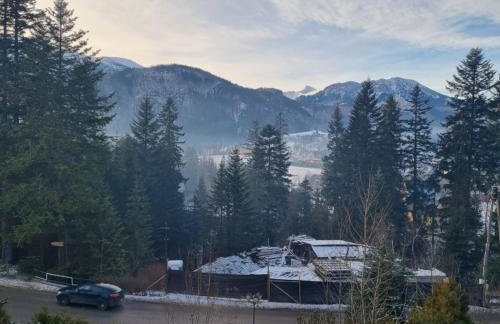 Apartament SALAMANDRA 1 - Foto 4