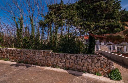 Apartments Cvita Ugljan - Foto 27