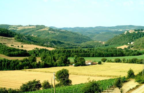 Agriturismo Fattoria Aquilone - Foto 74