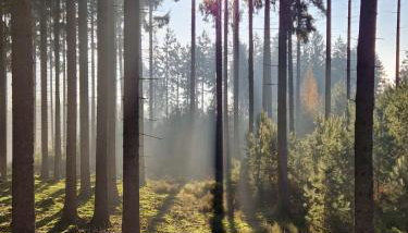 Ferienwohnung zum Finkenbachtal - Foto 4