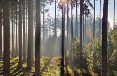 Ferienwohnung zum Finkenbachtal - Foto 4