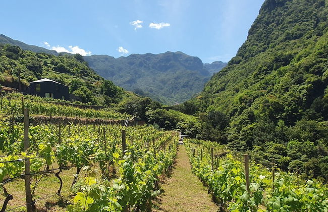 Terrabona Nature & Vineyards - Foto 41