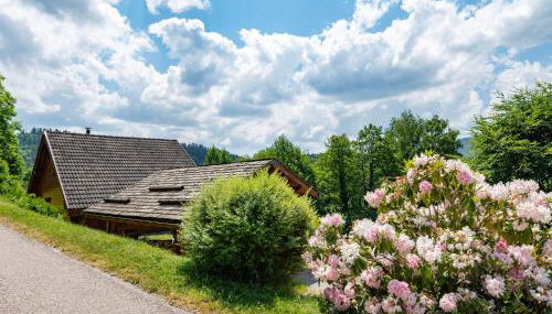Chalet ensoleillé dans les Hautes Vosges avec terrasse, local vélos et skis, charges incluses - FR-1-589-486 - Foto 5