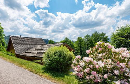 Chalet ensoleillé dans les Hautes Vosges avec terrasse, local vélos et skis, charges incluses - FR-1-589-486 - Foto 5