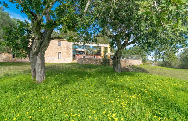 Viterbo in Mallorca With 3 Bedrooms and 3 Bathrooms - Photo 33