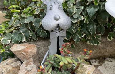 Belle villa de charme avec piscine - Foto 37