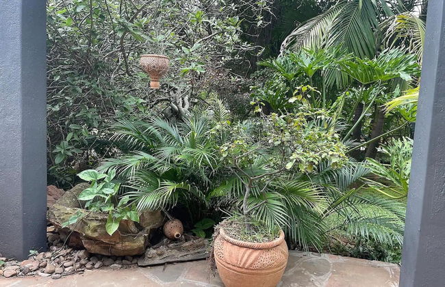 Cozy 3 Bedroom House With Unique Bathrooms - 2084 - Foto 6